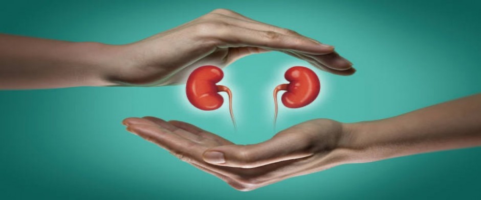 Trasplante Renal