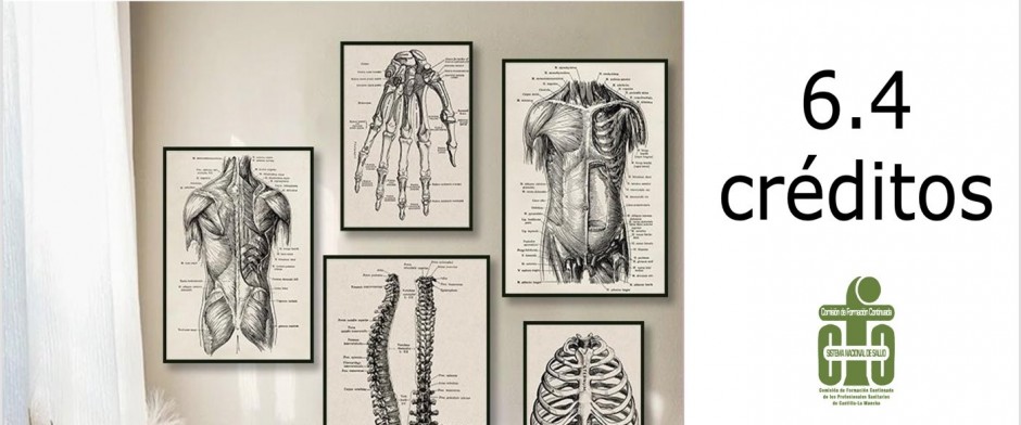 Anatomía, fisiología y patología renal para Farmacia