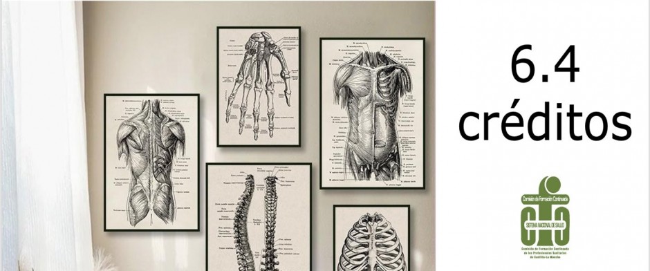 Anatom&iacute;a, fisiolog&iacute;a y patolog&iacute;a renal para Farmacia