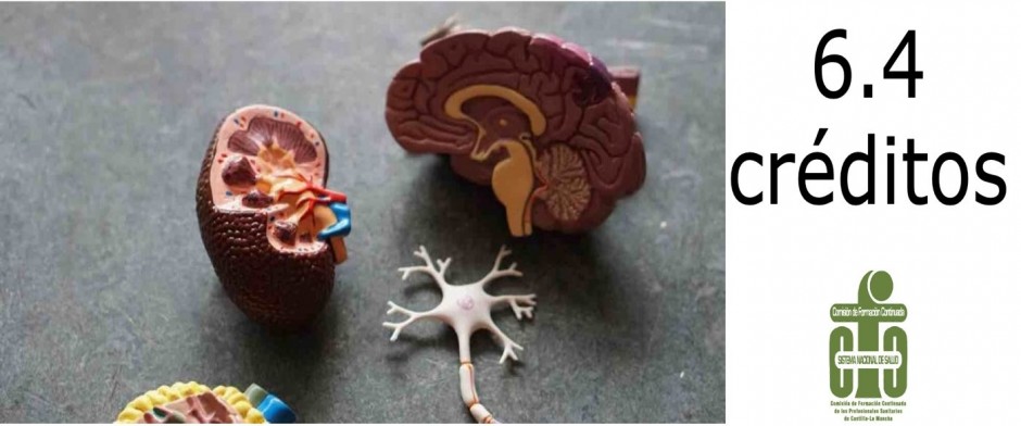 Anatom&iacute;a, fisiolog&iacute;a y patolog&iacute;a renal para Medicina