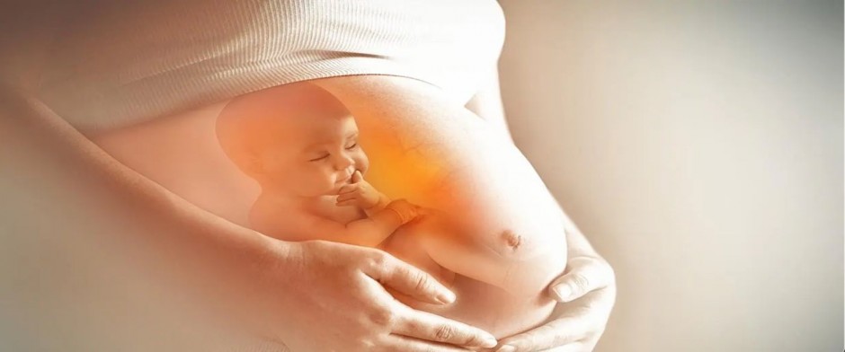 CUIDADOS B&Aacute;SICOS PRENATALES DEL EMBARAZO Y SEGUIMIENTO DE LA GESTANTE