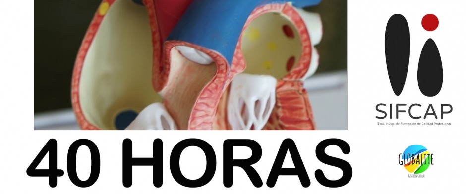 CONCEPTOS EN HIPERTENSI&Oacute;N ARTERIAL PARA ENFERMER&Iacute;A, TCAE Y T&Eacute;CNICOS. 40 HORAS.