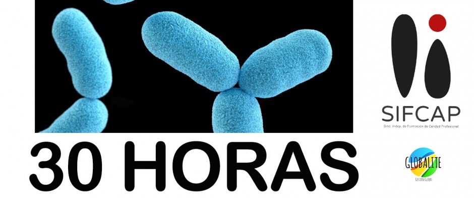 CONCEPTOS EN INFECCIONES URINARIAS PARA ENFERMER&Iacute;A, TCAE Y T&Eacute;CNICOS. 30 HORAS.