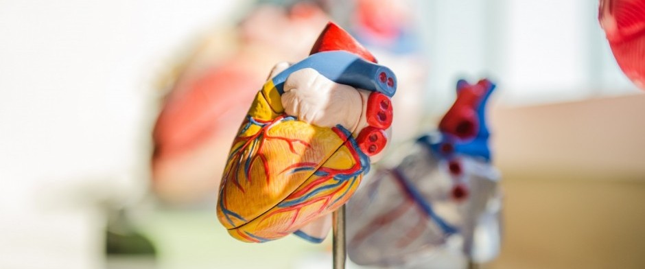 CONCEPTOS B&Aacute;SICOS EN HIPERTENSI&Oacute;N ARTERIAL