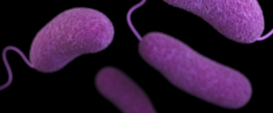 CONCEPTOS BÁSICOS EN INFECCIONES URINARIAS
